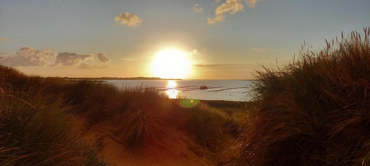 Beachloft Zeeland 1